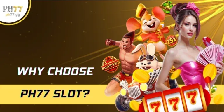 Bắt đầu hành trình tại Thomo68